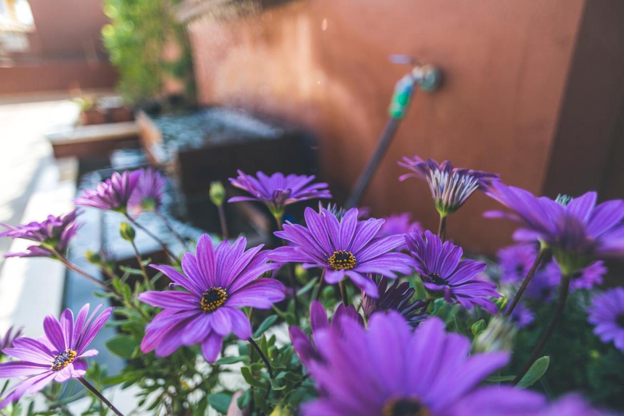 Apartamentos Turisticos La Castilleja Córdoba Eksteriør bilde